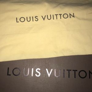 Louis Vuitton purse great condition